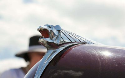 1954 Peugeot 203 C©